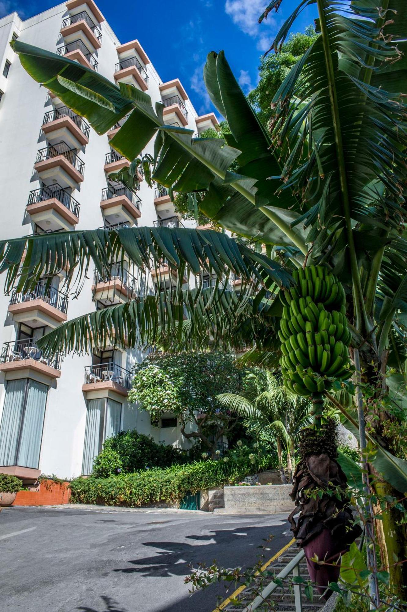 Dorisol Mimosa Studio Hotel Funchal  Eksteriør bilde